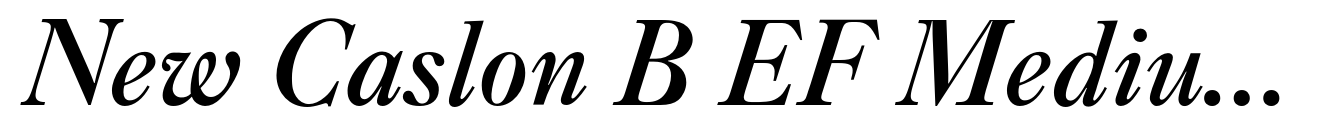 New Caslon B EF Medium Italic